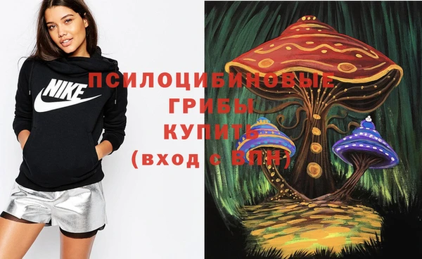 хмурый Алзамай